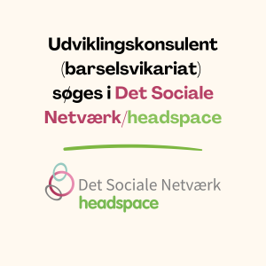 jobopslag, udviklingskonsulent, barselsvikariat
