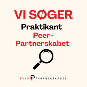 Praktikant, Peer-partnerskab